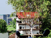 Công Ty Tnhh Xd Tm Nam Kinh 