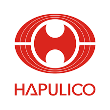 Company Logo 01