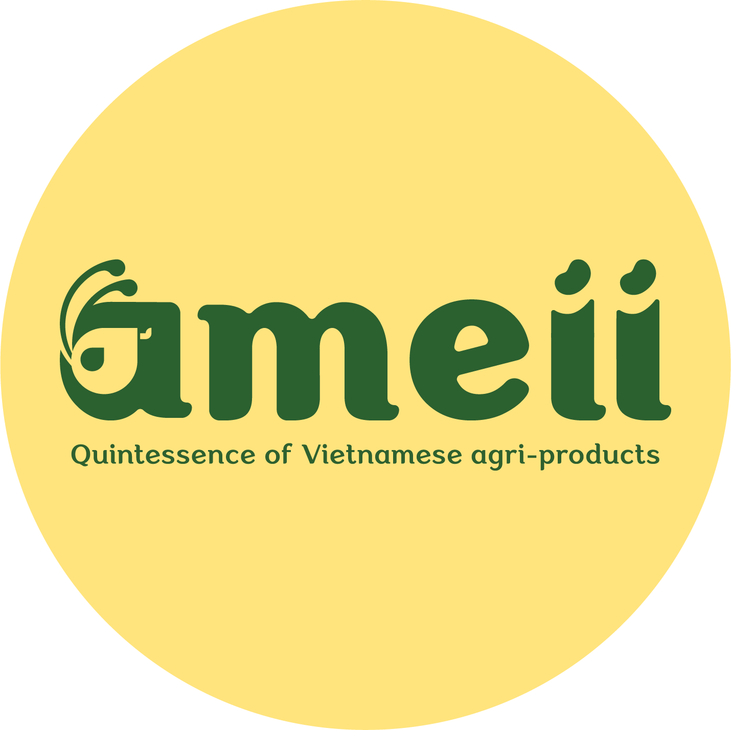 Công Ty Cổ Phần Ameii Việt Nam - CN Hải Dương