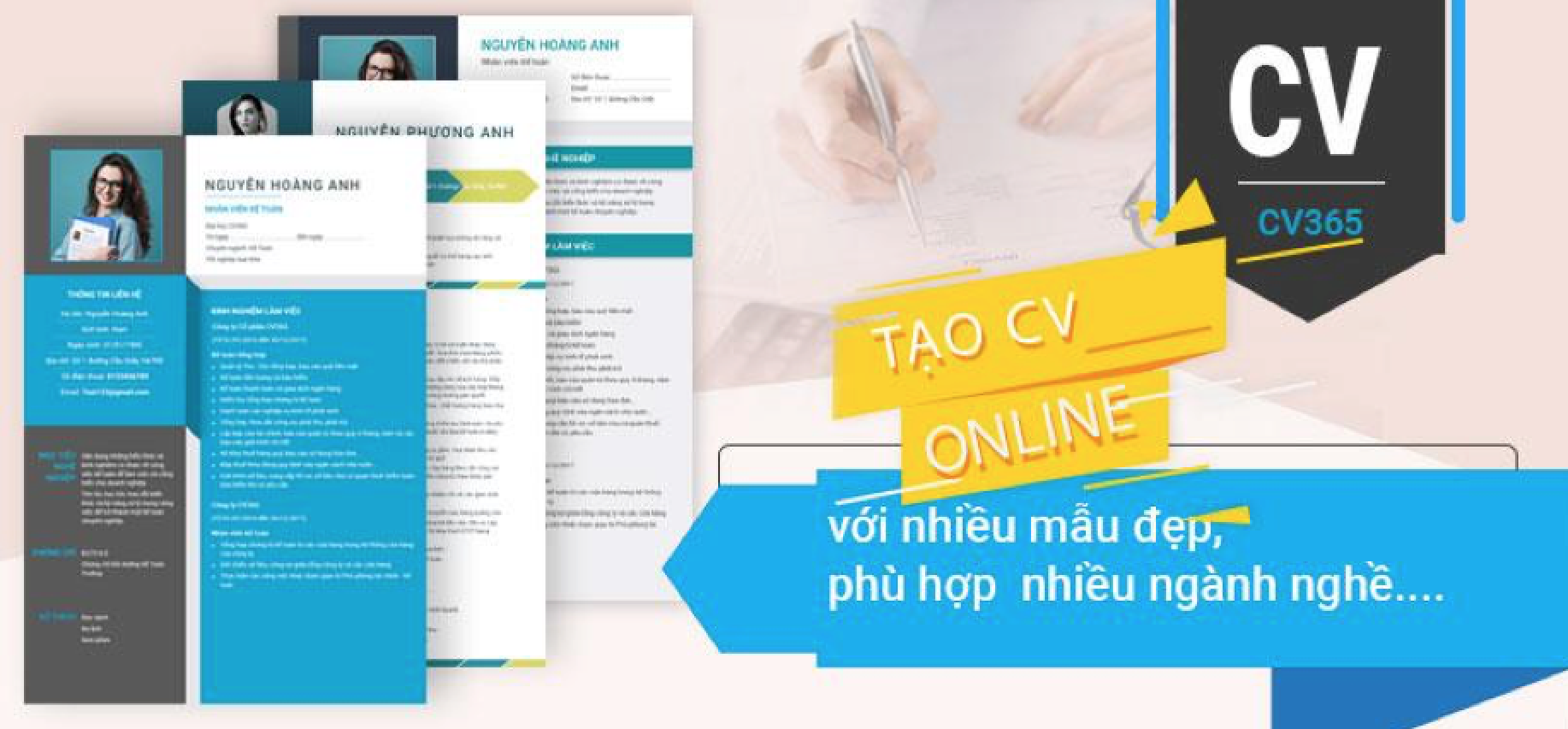 CV IT