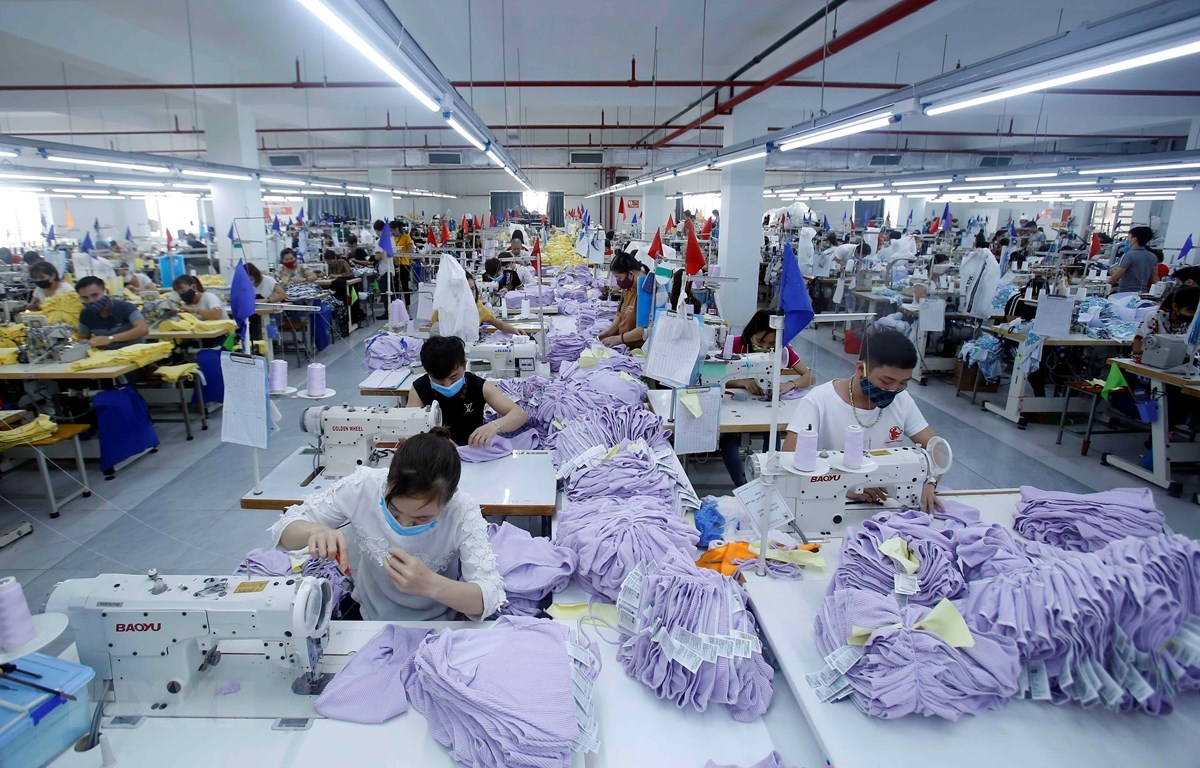 Học vấn, kỹ năng trong CV dệt may da giày