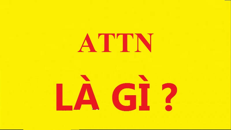 Bạn có biết attn trong đơn xin việc là gì?
