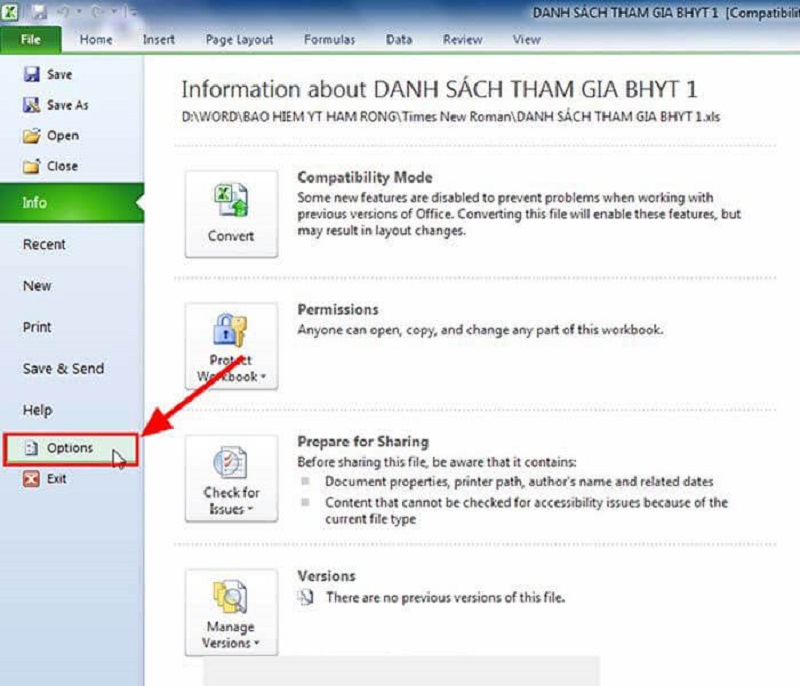 Các thao tác thực hiện thông qua file Excel để In 2 mặt trong Excel 2010