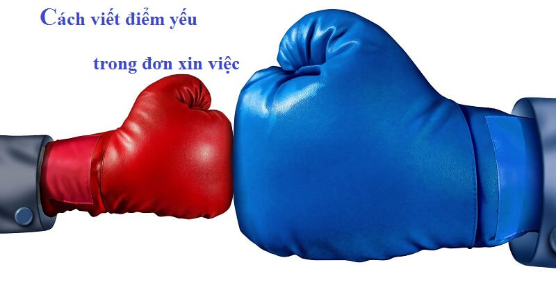Cách viết điểm yếu trong đơn xin việc