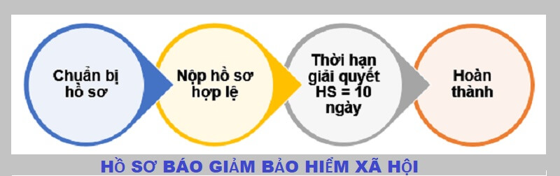 Những yếu tố có trong Hồ sơ báo giảm Bảo hiểm xã hội không thể thiếu