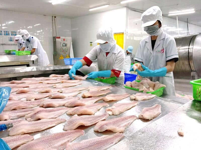 Tại sao em lại lựa chọn công ty chúng tôi?
