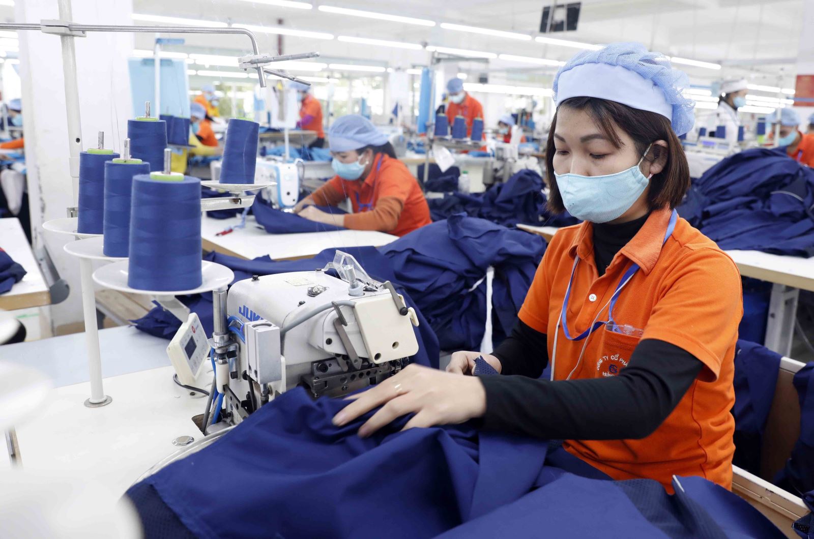 Kinh nghiệm là trường thông tin quan trong CV dệt may da giày