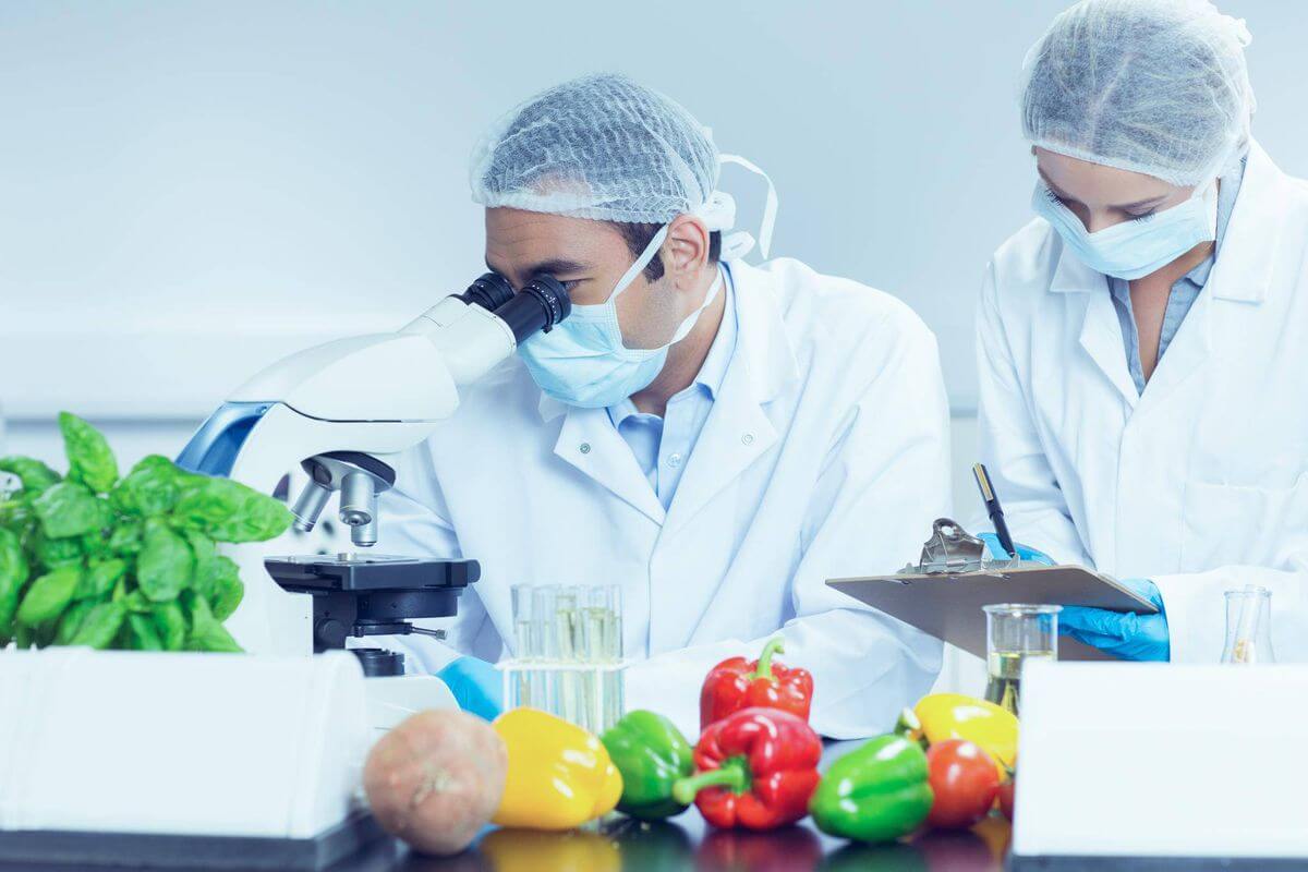 Kinh nghiệm trong CV công nghệ thực phẩm được trình bày như thế nào?