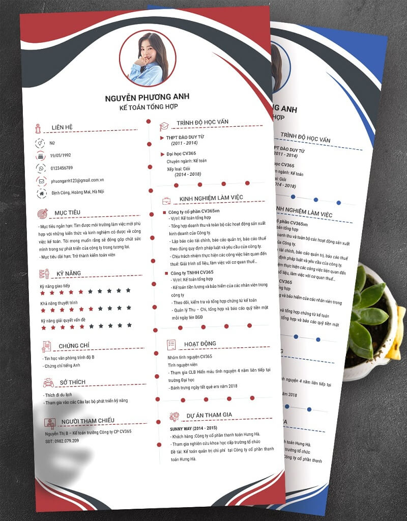 CV tiếng anh kế toán