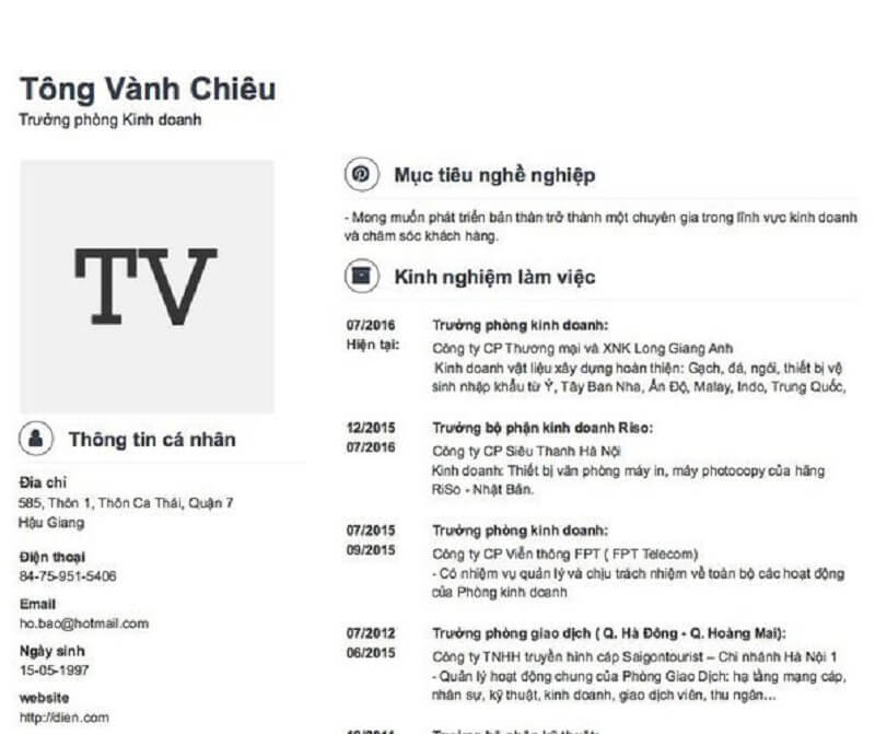 CV ứng tuyển trưởng phòng kinh doanh