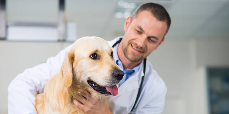 Kinh nghiệm làm việc của bạn