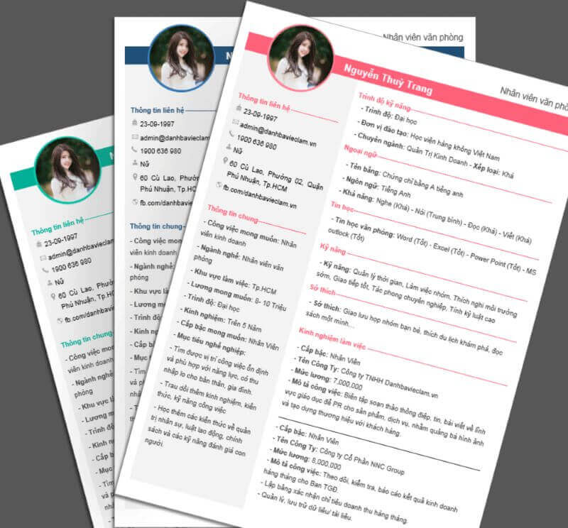 CV xin việc thuyết phục Nhà tuyển dụng Điện Máy Xanh