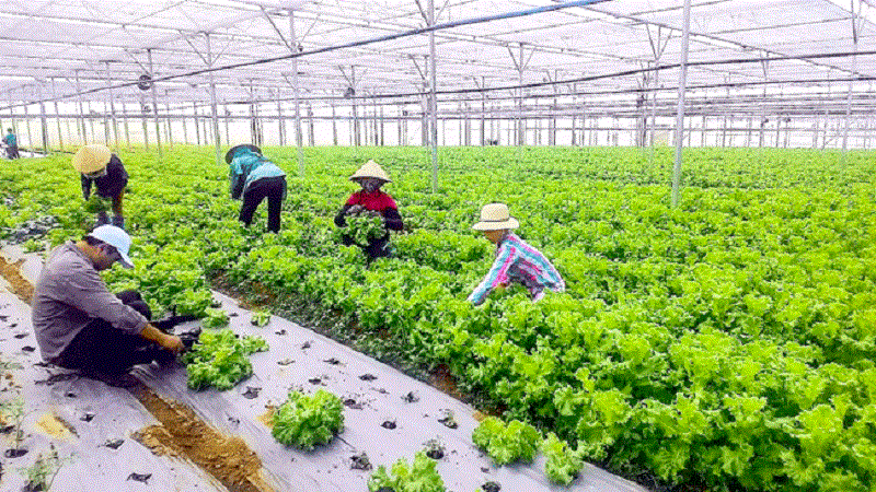 Doanh nghiệp siêu nhỏ là gì 3