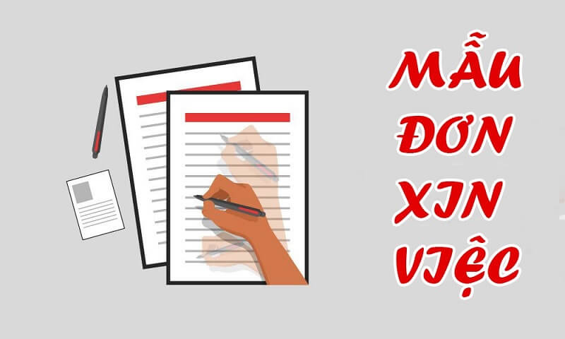 Vài nét khái quát về đơn xin việc kế toán