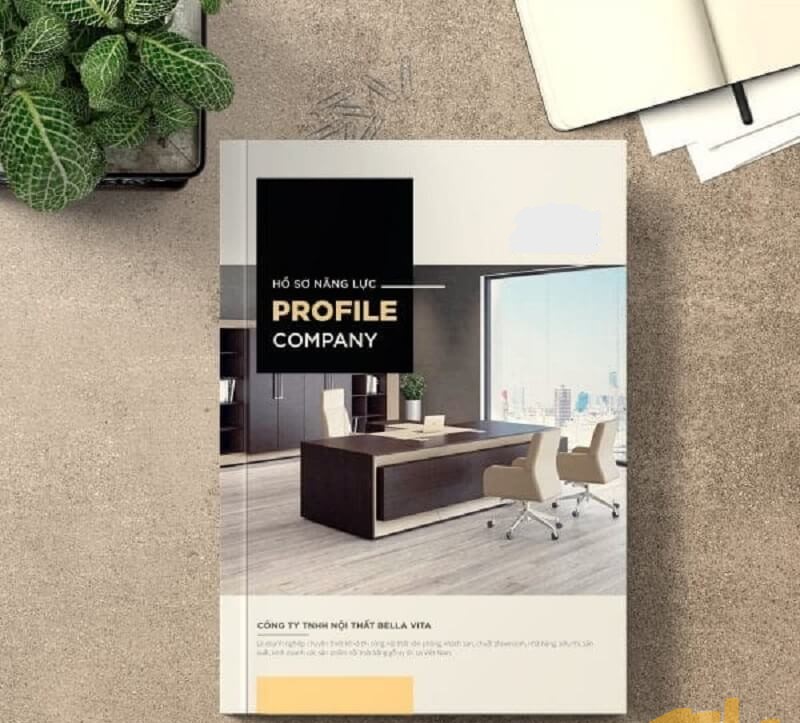 ​ Giải thích cụ thể các lĩnh vực hoạt động của công ty ​