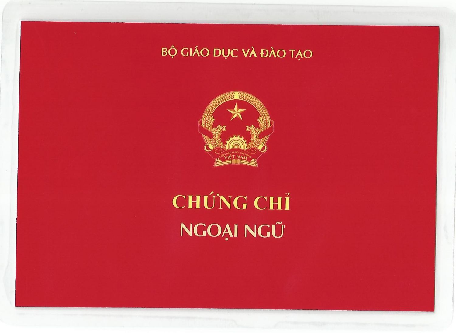 Bằng cấp chứng chỉ