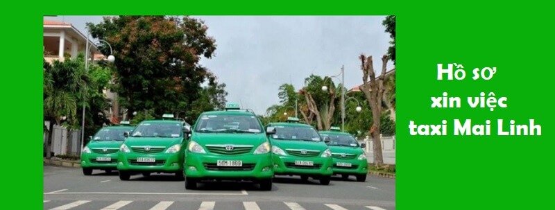 Tại sao cần có hồ sơ xin việc taxi Mai Linh