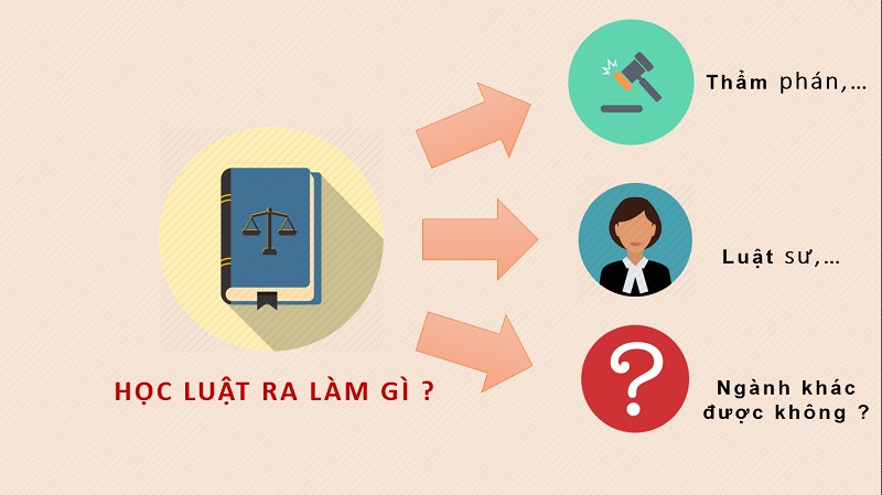 Học Luật ra trường làm gì
