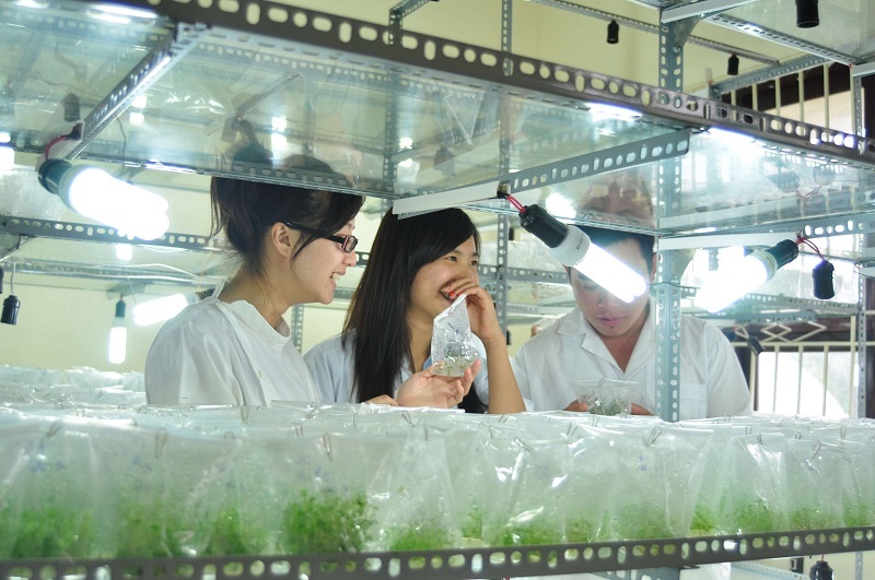 Làm sao để trở thành một nhà khoa học môi trường tài năng