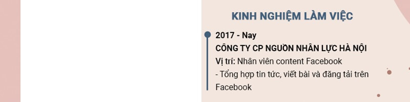 Phần kinh nghiệm làm việc trong mẫu CV xin việc copywriter