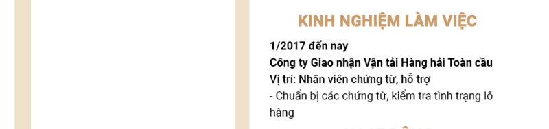 Phần kinh nghiệm làm việc trong bản CV Logistic