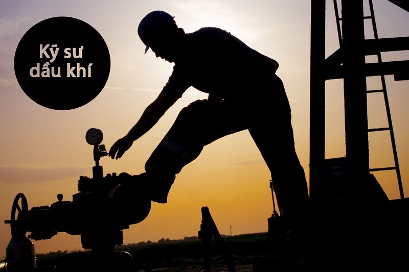 Sinh viên Học kỹ thuật dầu khí ra làm gì?