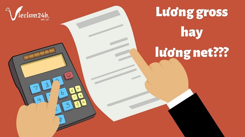 Lương gross net, lương nào có lợi hơn cho người lao động?