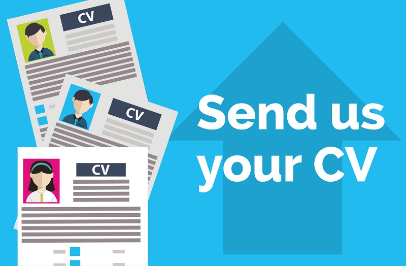 Mẫu cv giới thiệu bản thân
