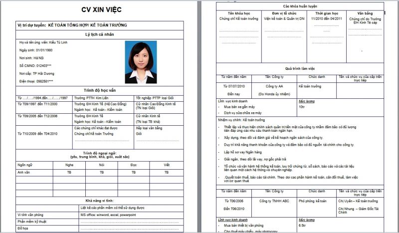 Mẫu CV xin việc file Excel thường được kế toán sử dụng