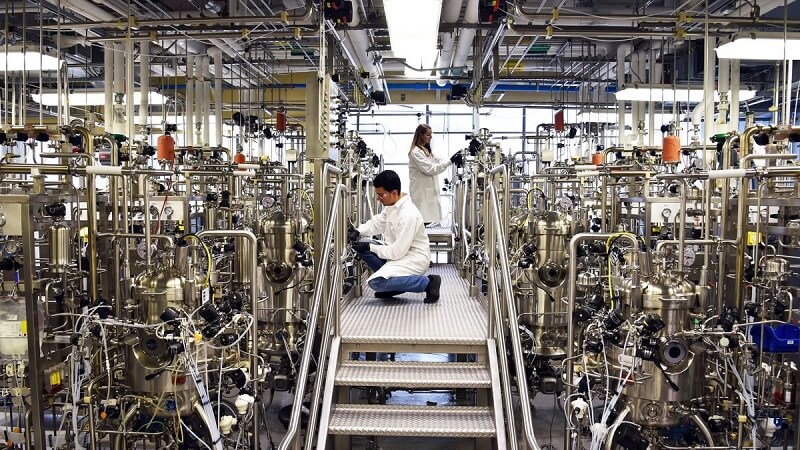 Lưu ý khi viết đơn xin việc khu chế xuất