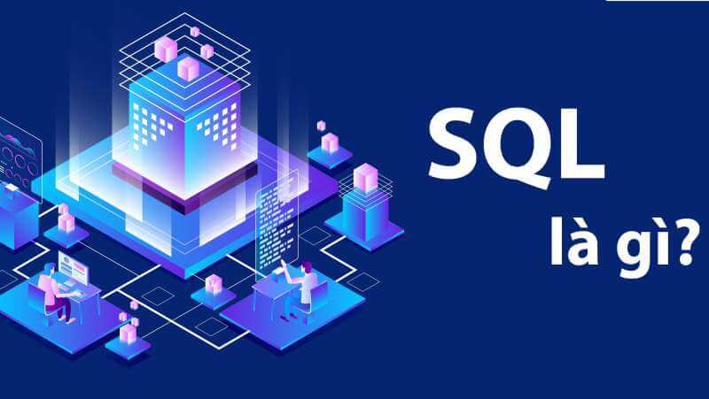 Các câu hỏi SQL cơ bản