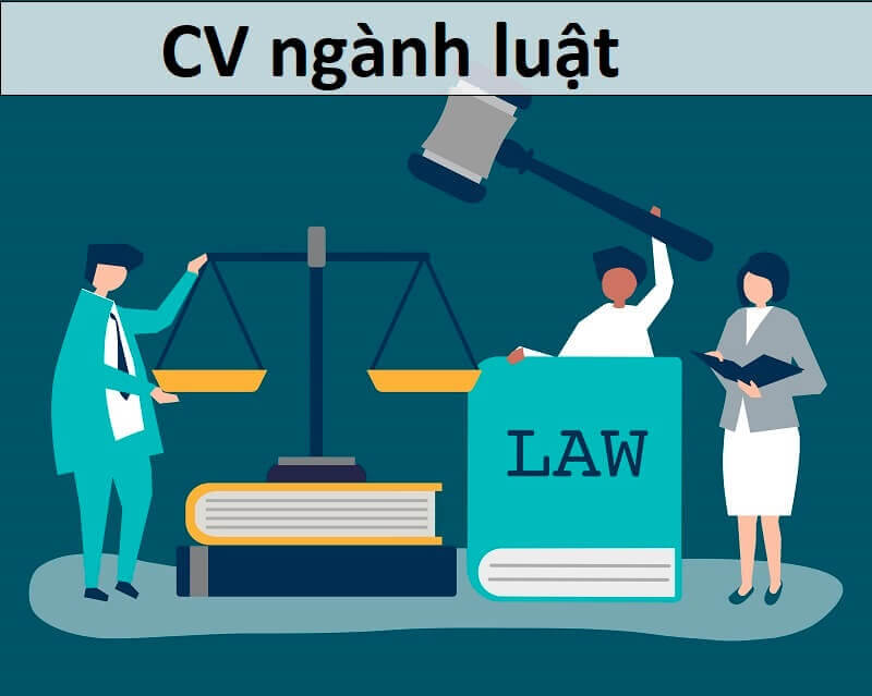 Tìm hiểu về cv thực tập sinh ngành luật