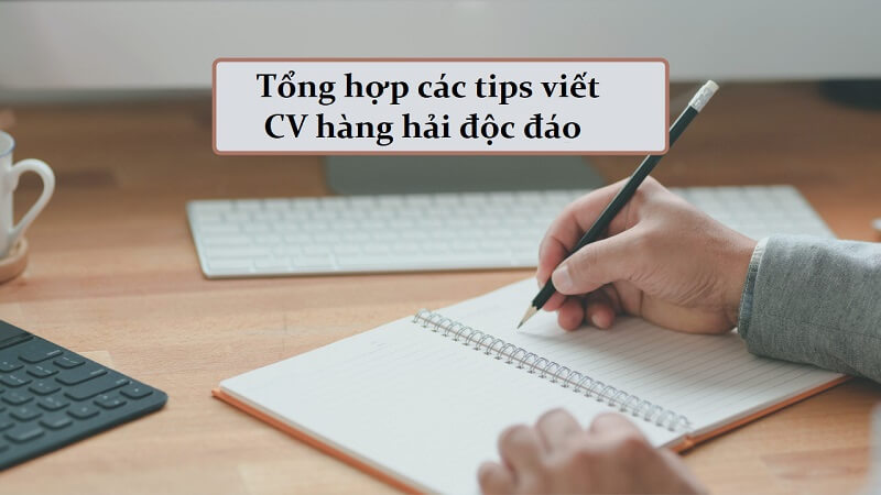 Triển khai mục trình độ học vấn trong CV hàng hải chuyên nghiệp