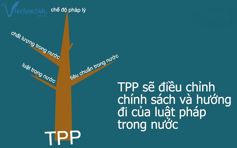 Thời cơ và thách thức của Việt Nam khi tham gia CPTPP