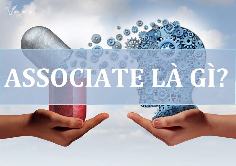 Associate là gì? Nằm lòng từ A-Z các khái niệm về Associate