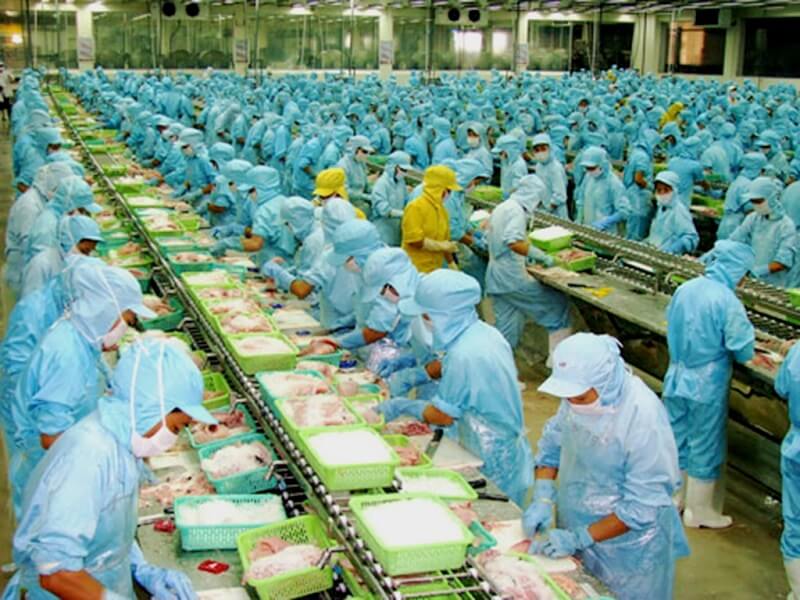 Một số câu hỏi phỏng vấn ngành công nghệ thực phẩm