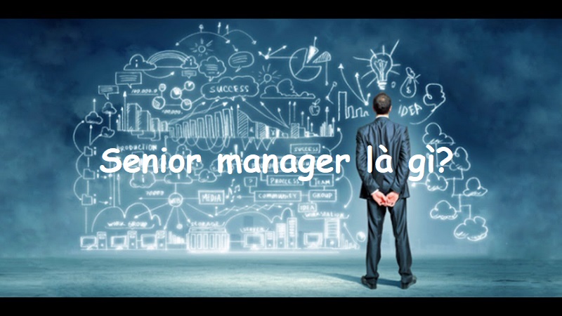 Senior manager là gì? Tìm hiểu thông tin thú vị về Senior manager