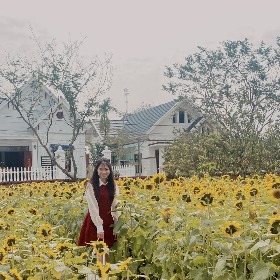 vũ thị hải