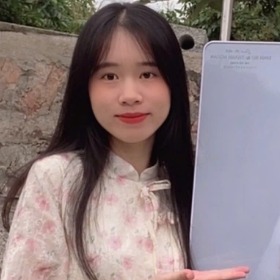 trần việt trinh