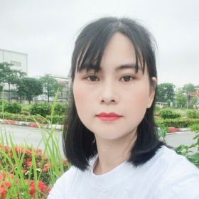 Đinh thị đông
