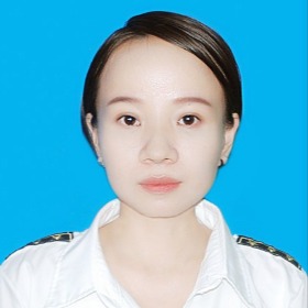 阮氏菊