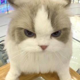 ffff